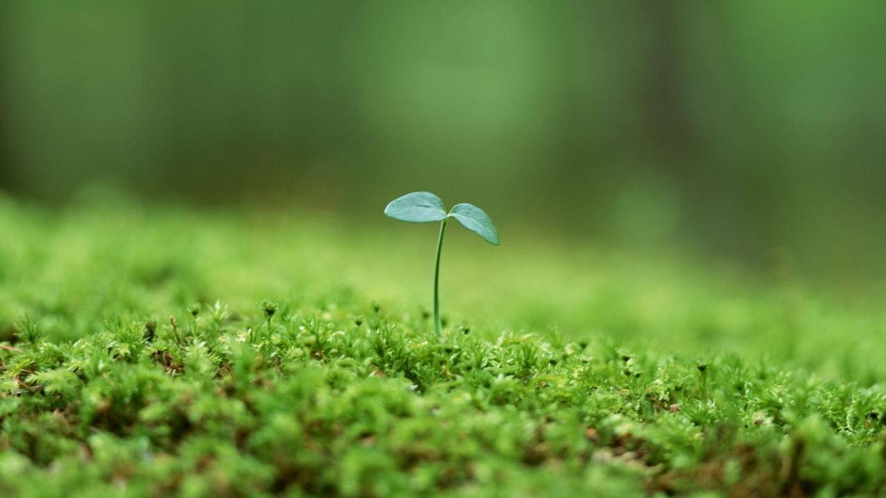 话费充值-微博刷转发-QQ代挂等级-朋友圈点赞
